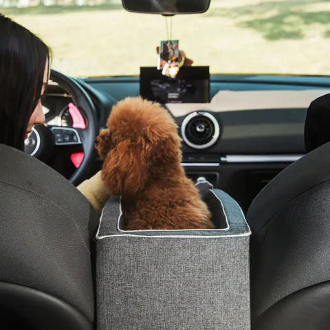 犬用旅行用車載バスケット - 小さな仲間に最適