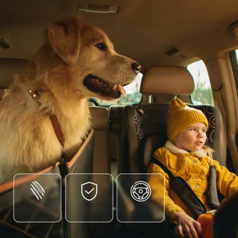 Hundesitzbezug für Auto — Komfort & Sicherheit im Alltag