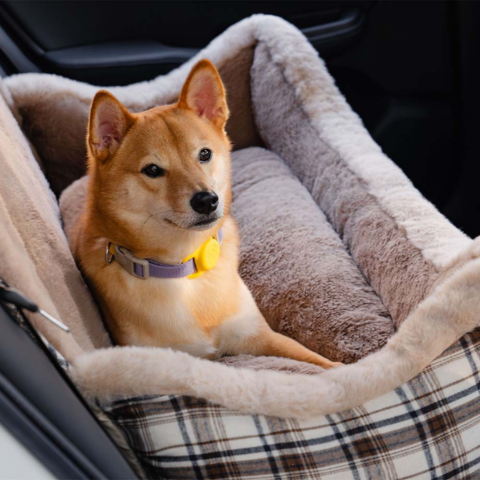 Travel Dog Bench – Comfortable and Easy to Install