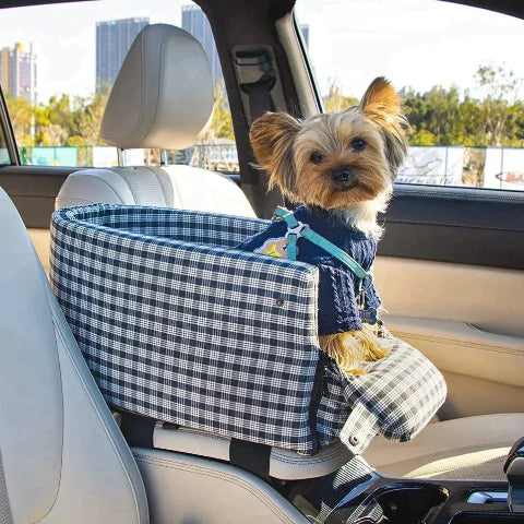 Transportbur För Hund – Komfort Och Stabilitet I Bilen 