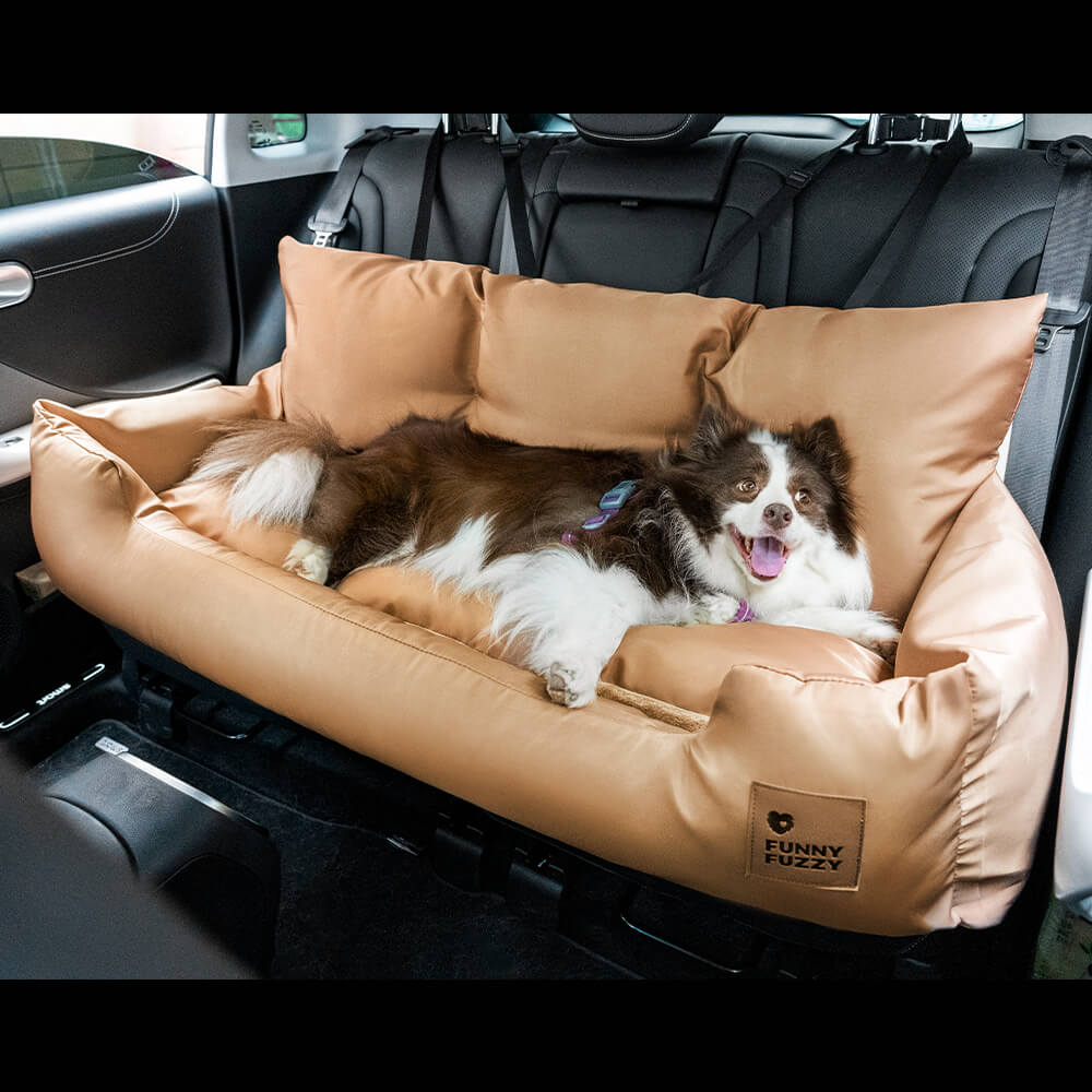 Bilsete for hund — Reis sammen i trygghet 