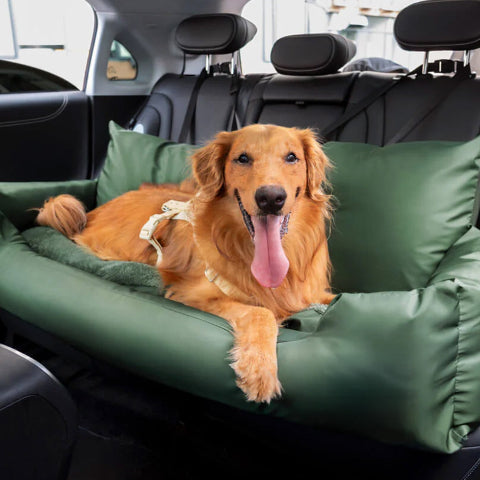 Transportkudde för hund – Anpassad för alla fordon 
