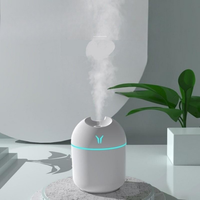 Mini USB-humidificaattori — Raikastus & Hyvinvointi Hetkessä 