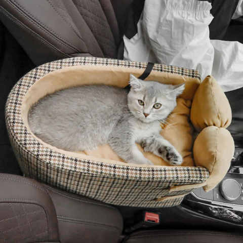 Travel Basket for Cat – Comfortable and Secure 
