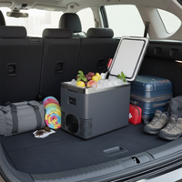 ミニ冷蔵庫 & 車用温め料理 — 2 in 1 実用的 